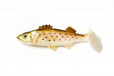 Фото виброхвост  condor crazy bait pek03 размер 80 мм, цвет 06 (5шт)